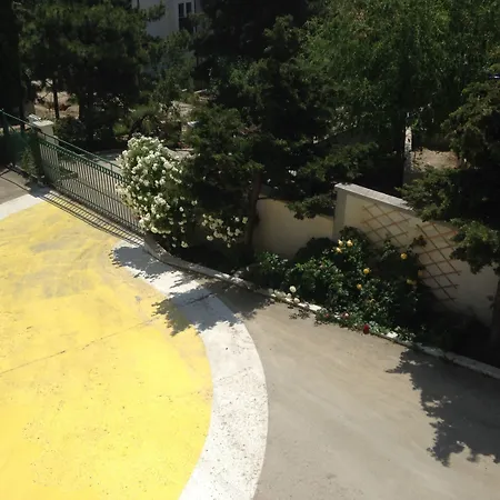 Zora Słoneczny Brzeg