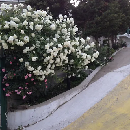 Хотел Zora Слънчев бряг