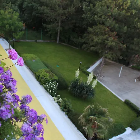 Hotel Zora Słoneczny Brzeg