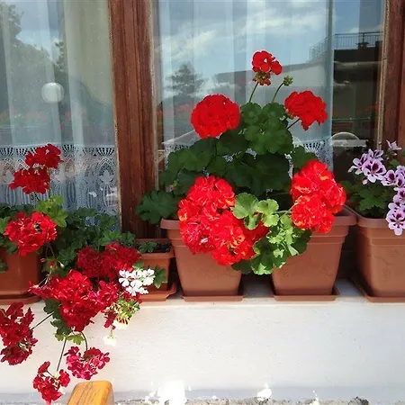 Zora Hotel Słoneczny Brzeg