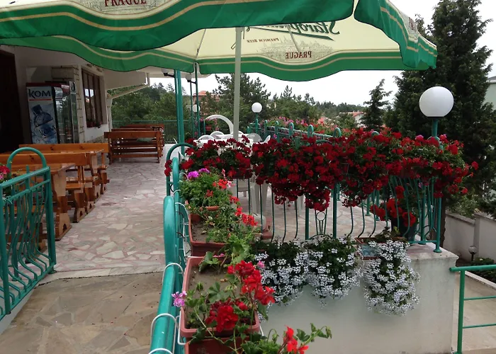 佐拉酒店 酒店 3*