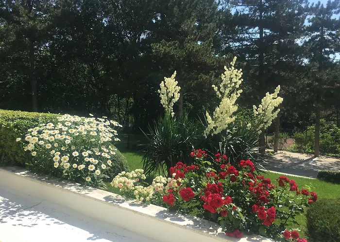 호텔 조라 써니비치