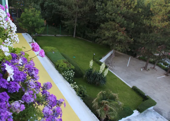 酒店 佐拉酒店 阳光海滩