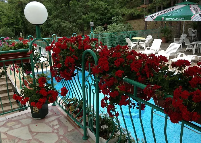 酒店 佐拉酒店 阳光海滩