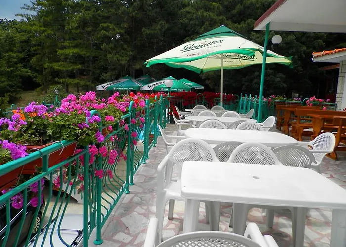 酒店 佐拉酒店 阳光海滩