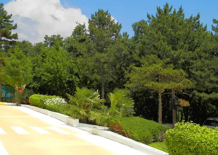 酒店 佐拉酒店 阳光海滩