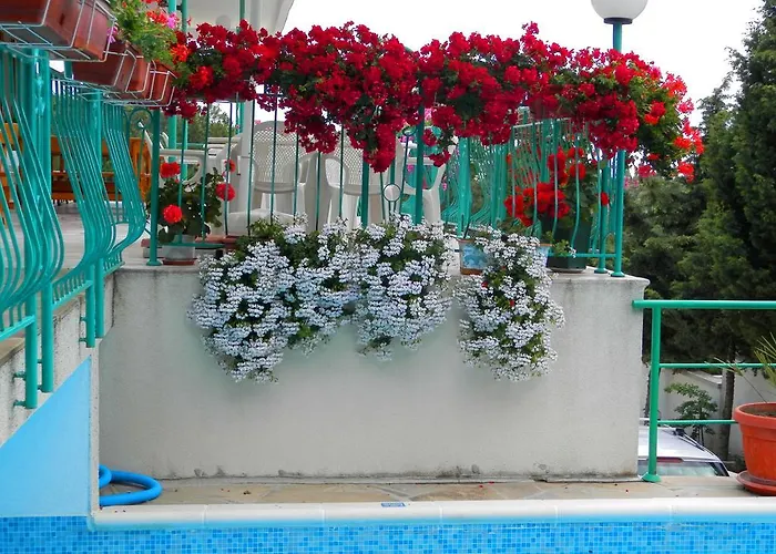 佐拉酒店 阳光海滩