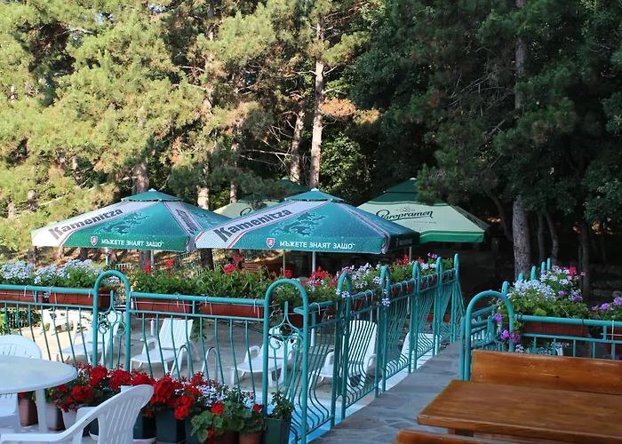 酒店 佐拉酒店 阳光海滩