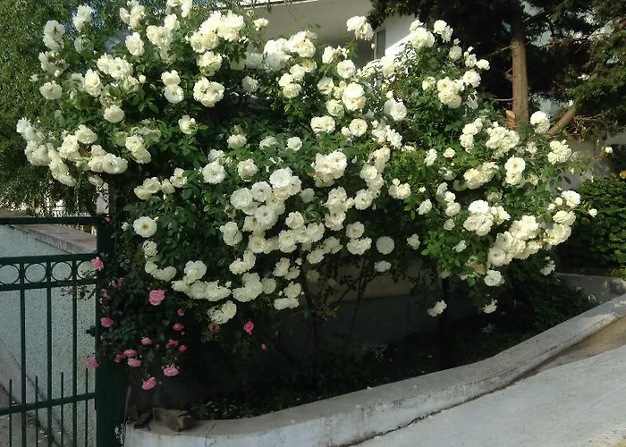 佐拉酒店 阳光海滩