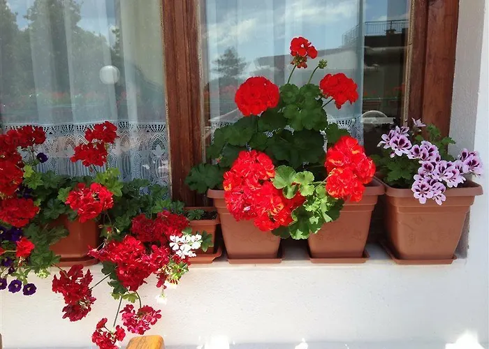 조라 호텔 써니비치