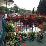 Hotel Zora Słoneczny Brzeg