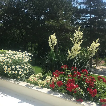 Хотел Zora Слънчев бряг