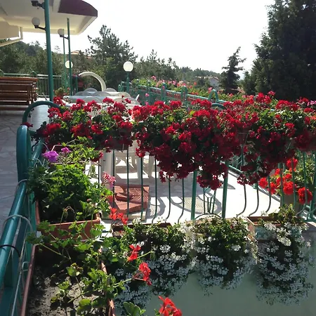 Hotel Zora Sunny Beach