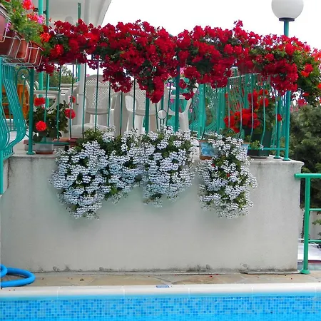 Zora Слънчев бряг