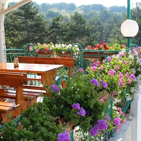 Zora 3* Слънчев бряг