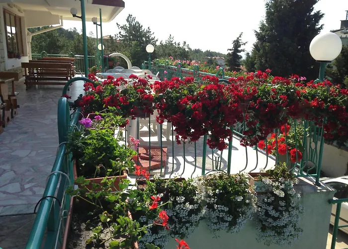 Hotel Zora Sunny Beach