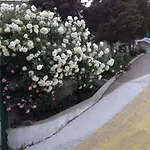 Hotel Zora Sunny Beach