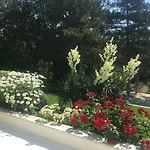 Hotel Zora Sunny Beach