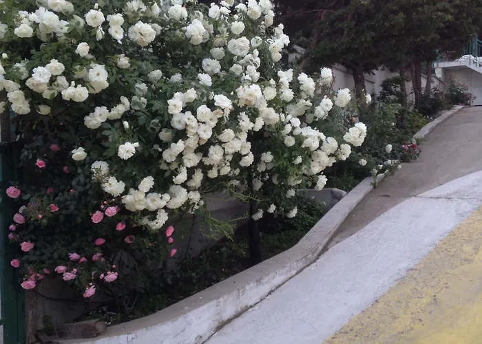 Hotel Zora Sunny Beach